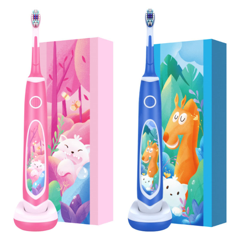 Rechargeable haedos Sonic Electric Toothbrush